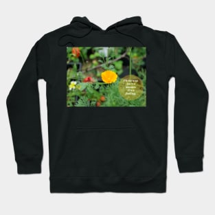 Christmas isn't a season. It's a feeling. Greeting Hoodie